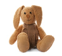 Stuffed Bunny Rabbit